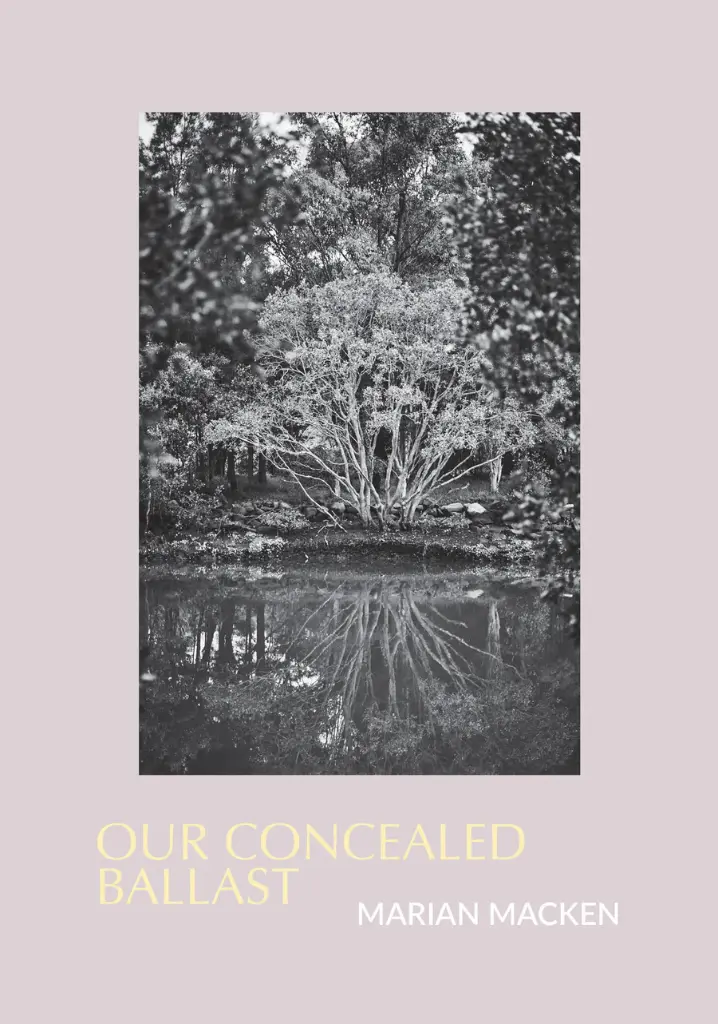 [9781925735512] Our Concealed Ballast