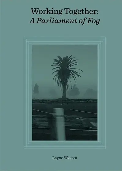 [9780473724429] A Parliament of Fog