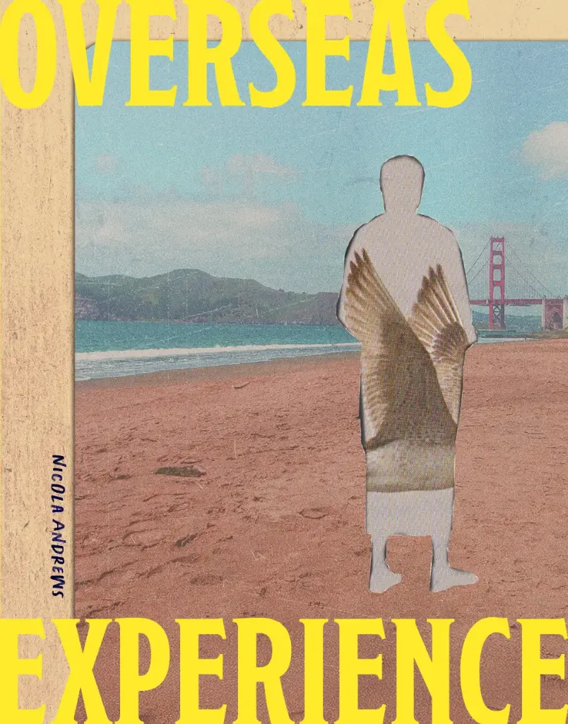 [9780473745677] Overseas Experience