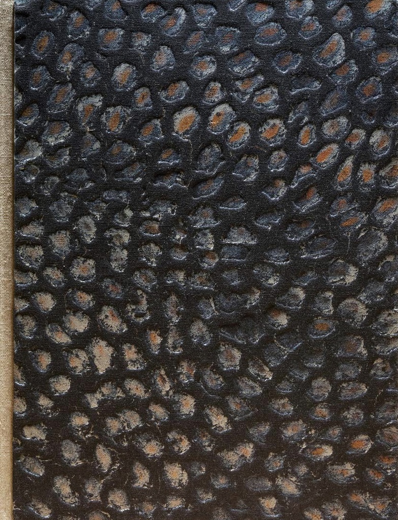 Takoto ai te Marino (Selected Works 2018–2025)