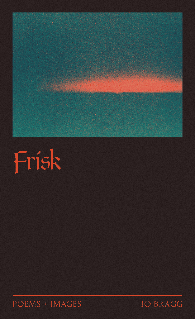 [ 9780473792060] Frisk