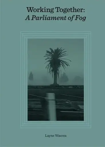 [9780473724429] A Parliament of Fog