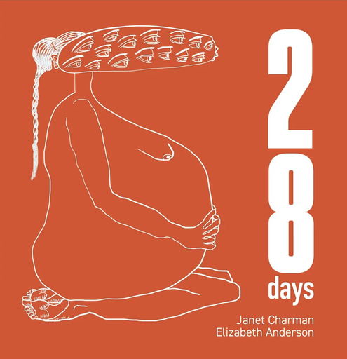 [9780473749071] 28 days