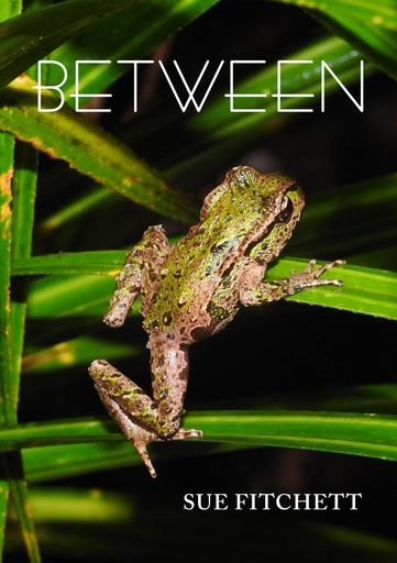 [9781067096618] Between