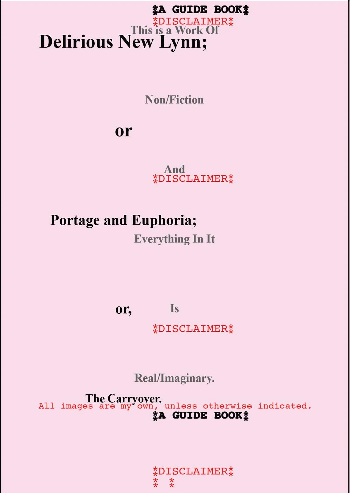 [9780473764111] Delirious New Lynn